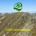 banner caminhada 1000.jpg
